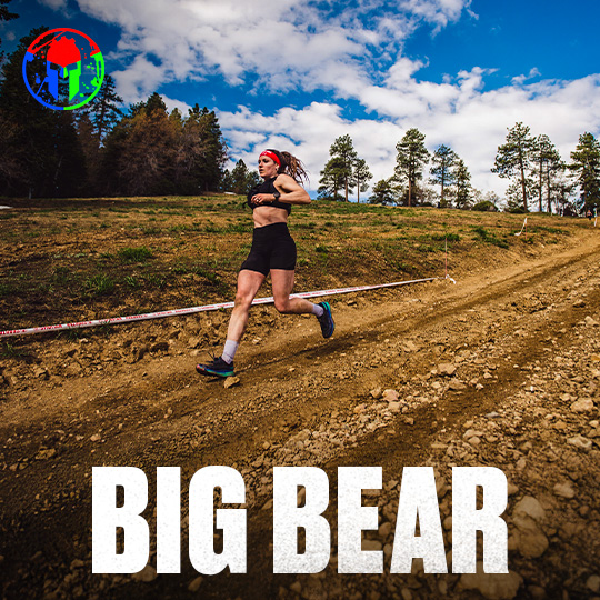 big bear
